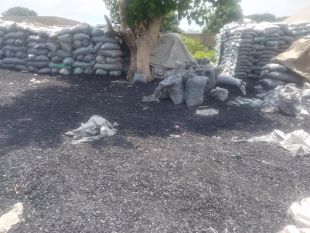 Large stacks of bagged charcoal stored beneath a tree in Irawo, Atisbo Local Government Area, Oyo State, Nigeria. Charcoal is widely used as a household cooking fuel in many Nigerian communities. Its production and use are closely associated with biomass energy, forest resource management, and climate change.